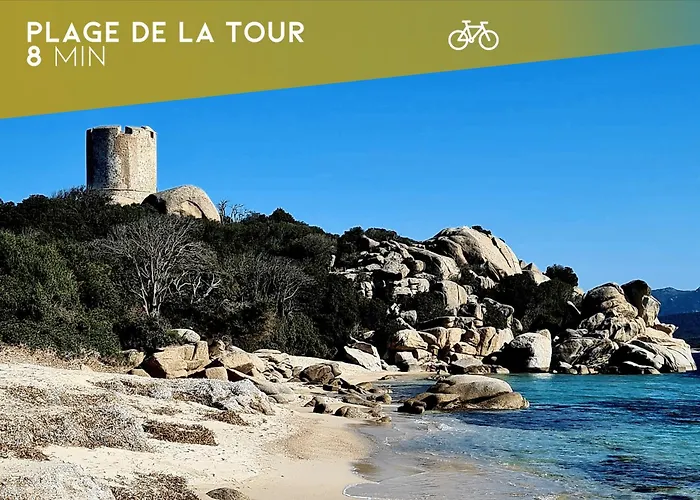 Appartement L'orizonte - T3 Vue Piscine Et *